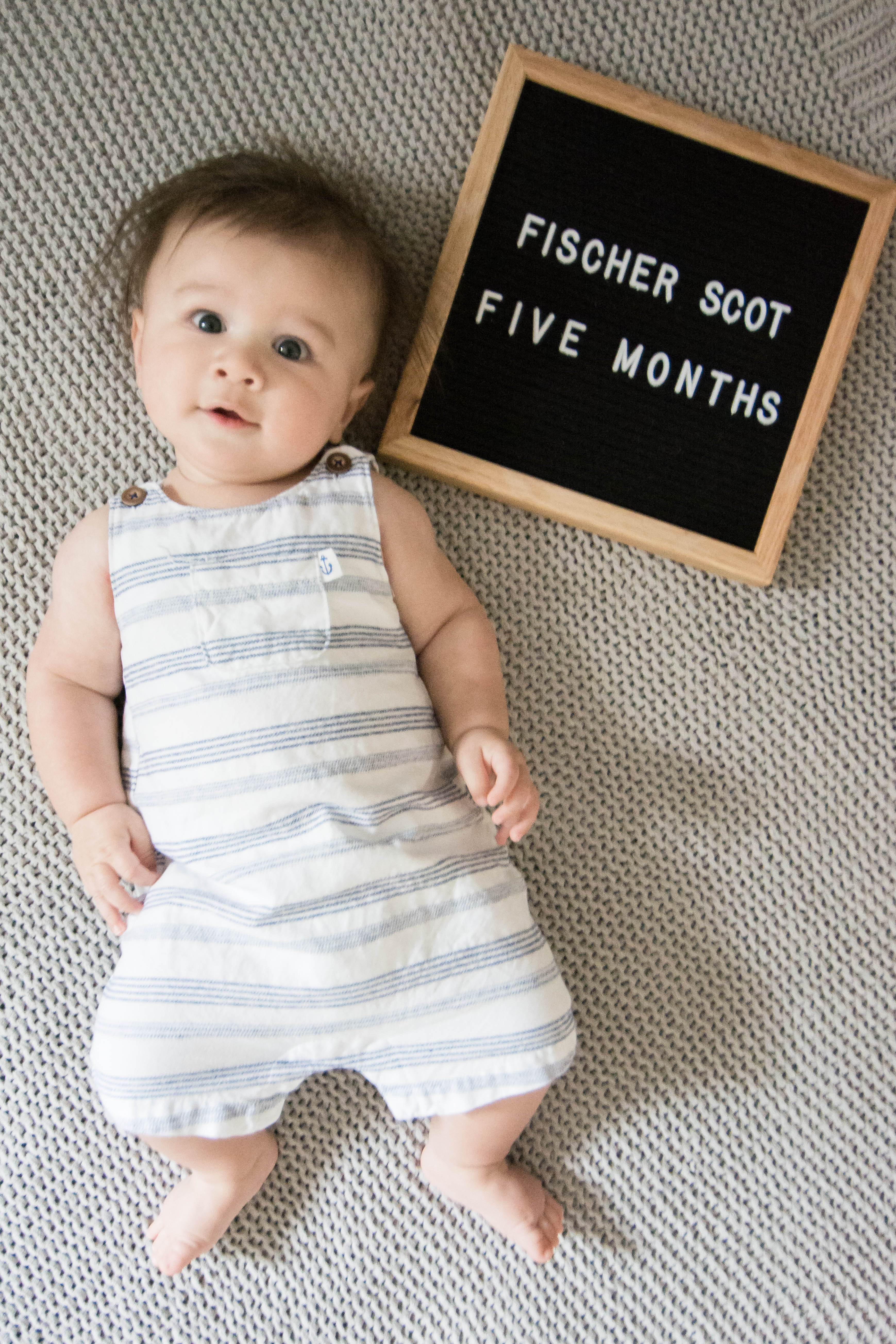 Fischer Scot: 5 Month Update | Amanda Fontenot | Atlanta Blogger